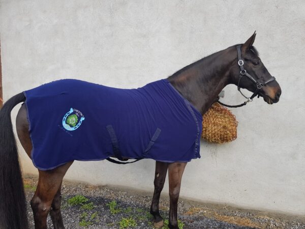 Horse Rug Customisation